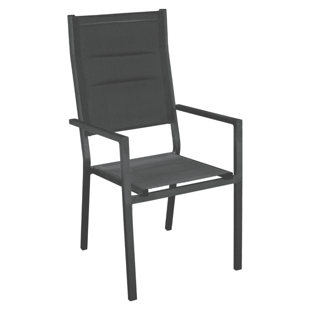 Lion aluminum chair