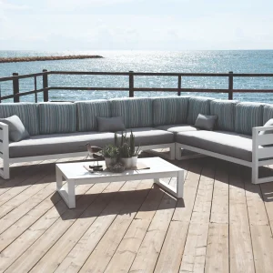 COSMOS RINCONERA-28 BLANCO (1)