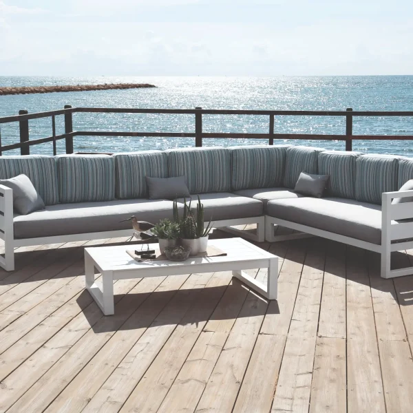 COSMOS RINCONERA-28 BLANCO (1)